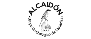 logo alcaidon