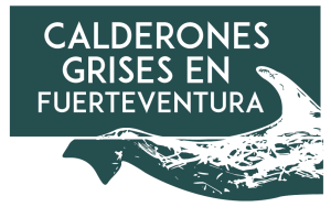 logo calderones grises en fuerteventura